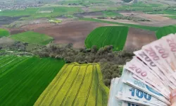 Ceyhan'da 20 dönüm toprak satılıyor: Birikimi olana mahkemeden büyük şans