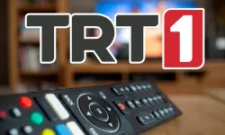 TRT 1 sinyal yok hatası nasıl çözülür?