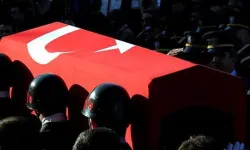 Yol Kontrolü Yapan Jandarma Uzman Çavuş Şehit Düştü