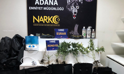 Adana’da Evde İklimlendirme Sistemiyle Kenevir Operasyonu