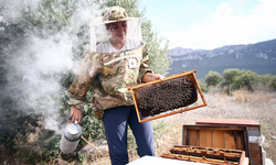 Arıcılığa 12 kovanla başladı, 200 kovana ulaştı