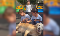 Seyhan Belediyesi’nden Minik Kalplere Hayvan Sevgisi Aşısı