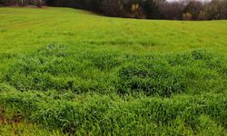 Adana'da en az yağış alan şanssız ilçe hangisi?