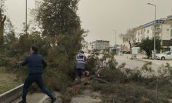 Meteorolojiden Adana için kuvvetli rüzgar uyarısı