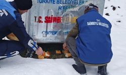 Saimbeyli'de yollar kapanmıştı! Mahmut Dal talimatı verdi