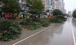 Adana Valiliği'nden fırtına uyarısı: Gece başlayacak, gün boyu sürecek!