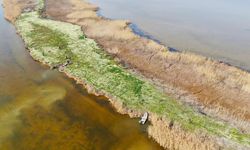 Adana'nın saklı cenneti Nergis Adası güzelliğiyle büyülüyor