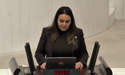Ayyüce Türkeş Taş AP'nin raporuna sert tepki gösterdi
