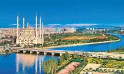 Adanalıların taşınma nedeni belli oldu! İlk sırada bakın ne var