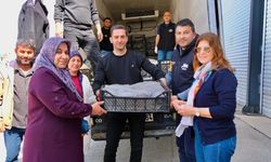 Feke’de çiftçilere 100 bin domates fidesi desteği