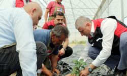 Adana’da kahve üretimi için ilk adım atıldı