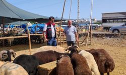 Adana’da kurban satış yerlerinde denetimler sürüyor