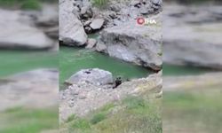 Kahramanmaraş'ta Akıntıya Kapılan Balıkçı Aranıyor