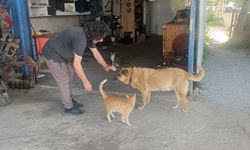 13 yıllık vefa hikayesi! Görmeyen köpeğine 13 yıldır bakıyor
