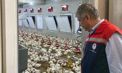 Adana İl Tarım ve Orman Müdürlüğü'nden hayvansal üretim tesisi ziyareti