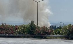 Adana-Tarsus Otoyolu'nda tır alev alev yandı