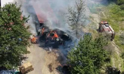 Adana'da büyükbaş çiftliğinde yangın çıktı