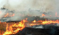 Adana’da anız yakanlara ceza: Dekar başına 698 TL uygulanacak