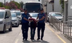 Adana'da direksiyon başında uyuyan sürücü serbest bırakıldı