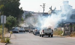 Adana Büyükşehir Belediyesi halk sağlığı için ilaçlama seferberliği başlattı