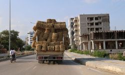 Adana’da trafikte tehlikeli yolculuk! Saman yüklü pikap tehlike saçtı