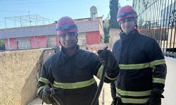 Adana’da bahçeye giren yılan itfaiyeyi harekete geçirdi