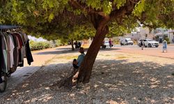 Sıcaklıklar arttı: Adanalılar gölgelere kaçtı