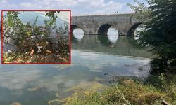 Adana'ya yakışmayan görüntü! Seyhan nehri çöplerle kaplandı