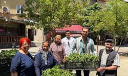 Aladağ, Feke ve Tufanbeyli’de 120 bin biber fidesi toprakla buluşuyor!
