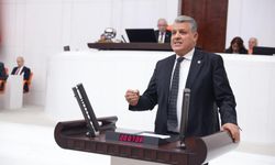 Ayhan Barut rakamları açıkladı: Buğdayda tehlike büyüyor
