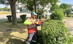 Ceyhan’da ekipler dört bir koldan sahada