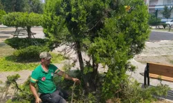 Ceyhan’da temizlik seferberliği: Yusuf Toprak parkı ve ortak alanlar pırıl pırıl
