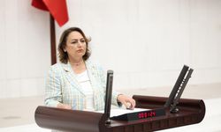 CHP Adana Milletvekili Müzeyyen Şevkin’den Meclis kürsüsünde tarım çıkışı