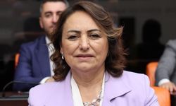 CHP'li Şevkin'den Çukurova Erkek Öğrenci Yurdu için çağrı