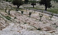 Erdemli’de Dolu Kabusu: Tarım Arazileri Beyaza Büründü
