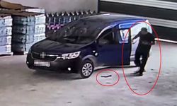 Hatay'da ticari araca giren yılan sürücüye ecel terleri döktürdü