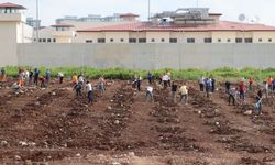 Bağımlılıkla mücadele eden hükümlüler 5 Bin fidan dikti