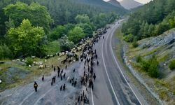 Kozanlı göçerlerin yayla yolculuğu sürüyor
