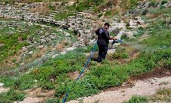 Karataş'ta yabani otlarla mücadele aralıksız devam ediyor