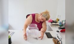 Kozan’da akrep bulan esnaf ona bidon içinde bakmaya başladı