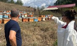 Kozan'da arıcılara destek uyarısı: Mağdur olmamak için bu şartlara dikkat!
