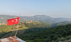 Kozan’daki yangın alanı 6 yılda yeniden yeşerdi