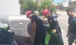 Kozan'da yavru kedi itfaiyeyi seferber etti