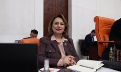 Milletvekili Müzeyyen Şevkin'den iktidara Adana eleştirisi