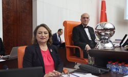 Şevkin'den sert çıkış: "Adalet kurumları işkence için kurulmadı"