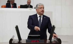 Sadullah Kısacık’tan iktidara çağrı: Tarımda acil eylem planı şart