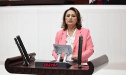 Şevkin TBMM’den seslendi: "Adana artık ihmal edilmemeli"