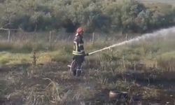 Seyir halindeki tanker yandı! Alevler zeytin bahçesine sıçradı