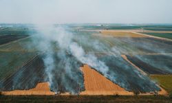 Adana'da tarlalardan duman yükseliyor! Yakılan anızlar büyük tehdide yol açıyor