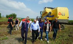 Adana'da çörekotu ekim alanı 200 dekara ulaştı